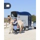 CHEVAL LIBERTÉ GOLD ONE ORIGINS